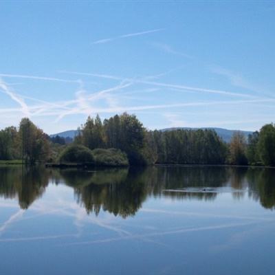 中国造世界最快两栖战车演练战术 沙滩上如履平地